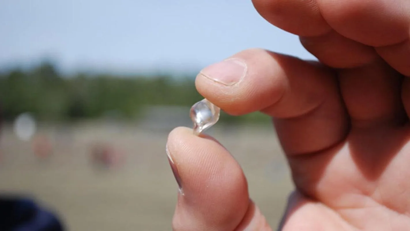 Discover Crater of Diamonds: The Land Where Anyone Can Find and Keep Real Diamonds