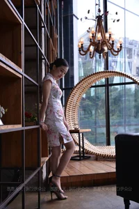 IESS 790: Xiao Jie in the Timeless Elegant Qipao - image 12