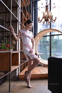 IESS 790: Xiao Jie in the Timeless Elegant Qipao - image 70